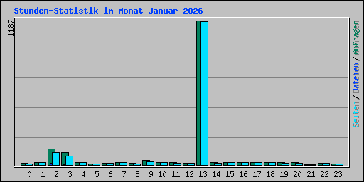 Stunden-Statistik im Monat Januar 2026