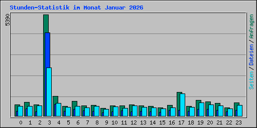 Stunden-Statistik im Monat Januar 2026
