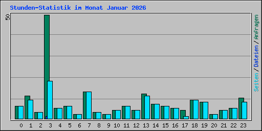 Stunden-Statistik im Monat Januar 2026