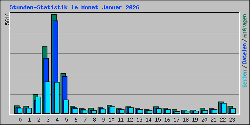 Stunden-Statistik im Monat Januar 2026